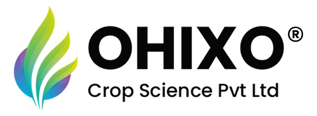 Ohixo